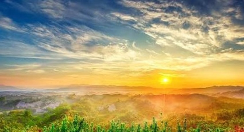 创意投稿箱 - 色花堂永久地址 - 你的创意作品发光的专属通道