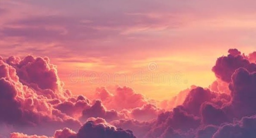项目进度云 - 色花堂永久地址 - 在执行项目实时进度同步平台展示图1